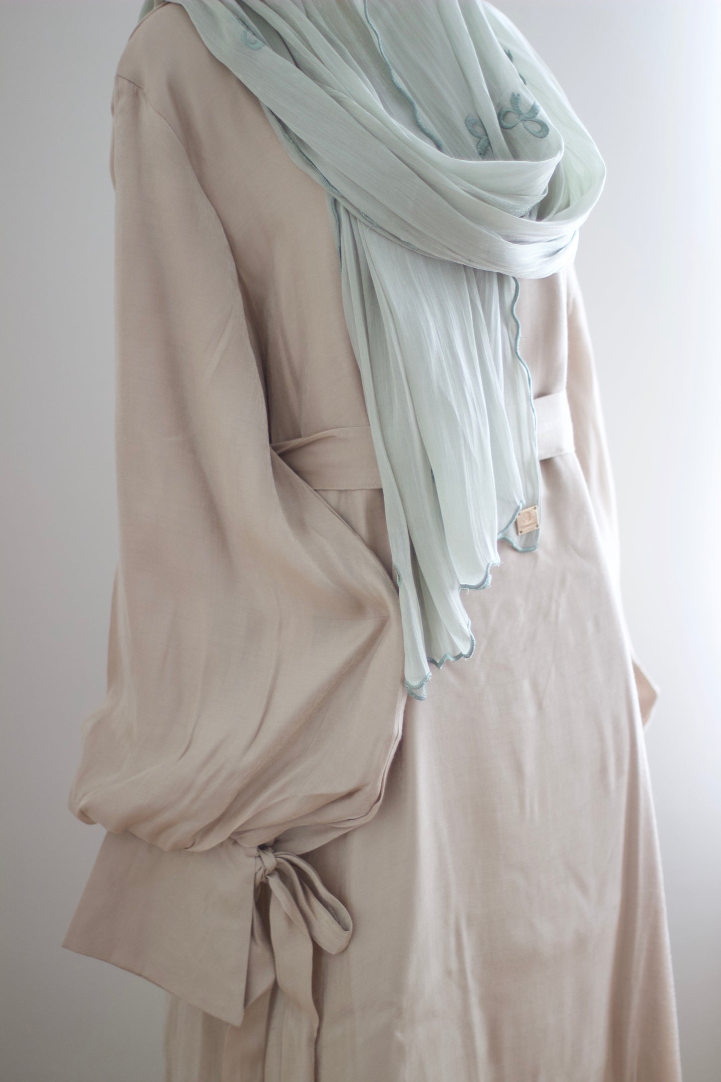 Shimmer puffed sleeve dress