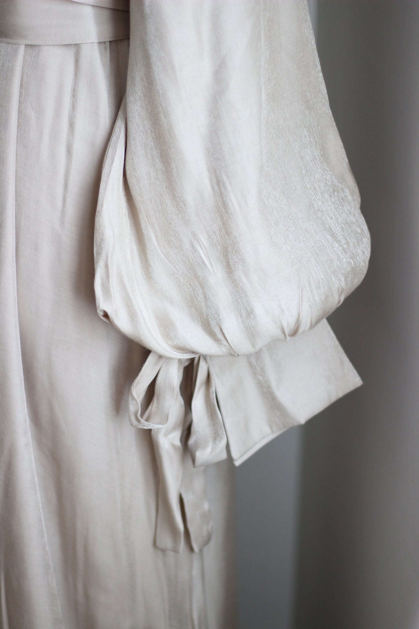 Shimmer puffed sleeve dress